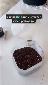 Winter Sowing #shorts