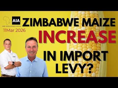 🌽 Zimbabwe Maize: Increase in Import Levy? | African Grains – 11 Mar 2026