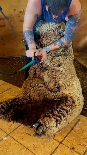 Inside Sheep Slaughter 😱 | Real Life Process #viralshorts #shorts #facts