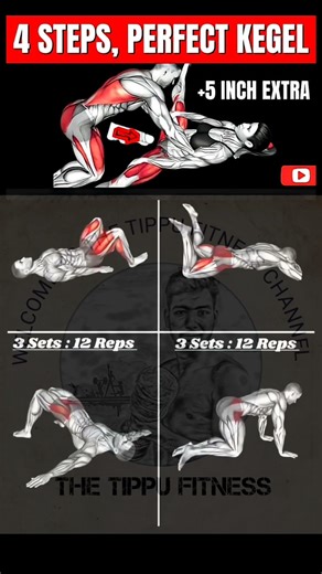 🎯 4 Steps Boost Your Pelvic Floor Muscles In Just 60 seconds!🔥#fitness #stemina #workout #shorts