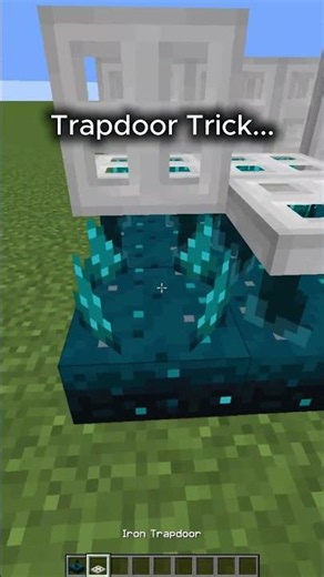 Minecraft Trapdoor Trick... 🎮🎮#minecraft #minecraftshorts