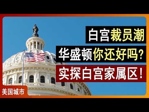 白宫裁员潮💥华盛顿你还好吗？实探白宫家属区！美国城市调研 | 美国政府停摆 | 金融保险 | 贷款利率 | 房地产投资 | 美国旅游 | 华盛顿旅游 | 华盛顿DC攻略 | 李文勍Richard