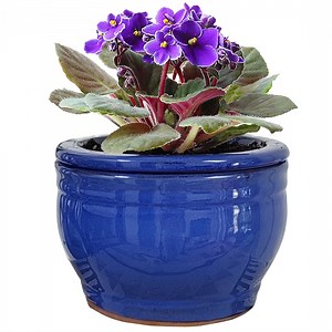 Dphagesy African Violet pots 6 in Round Blue Ceramic Violet Pot with Self-Watering(plants are not included)