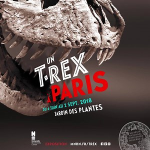 Exposition | Un T. rex à Paris 🦖 Oserez-vous rencontrer le redoutable prédateur du Crétacé ? Jusqu'au 4 nov. venez vivre un face à face exceptionnel avec Trix, femelle T. rex de 67 millions d'années présentée pour la première fois en France ! #ExpoTRex 👉 www.mnhn.fr/TRex 📽 ©MNHN - F. Dubos | Muséum national d'Histoire naturelle