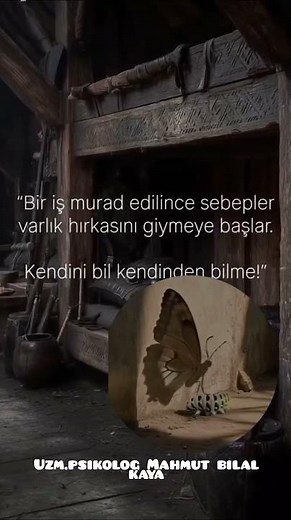 🌱 İnsan Kendini Bilmeli🤔#psikoterapi #psikologklinis #keşfet #keşfetbeniöneçıkar