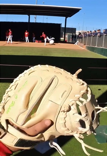 👀 from behind the plate