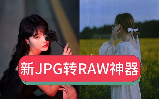 怎么把jpg转换成dng格式高清无损批量转换raw格式文件软件Topaz JPEG to RAW AI中文汉化版下载