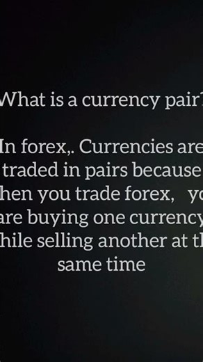 forex beginners guide
