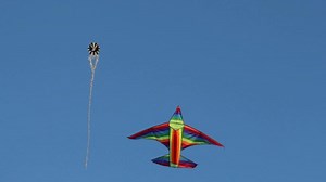 Download Kites On The Sky for free