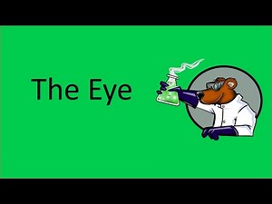 The eye (GCSE Biology)