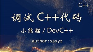 小熊猫C  调试C  程序（小型或竞赛代码）