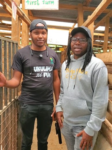 We hosted @Thee CEO today.Great conversation and farm tour! #firstfarm #pigfarming #farmlife #tiktokkenya🇰🇪 #foryoupage