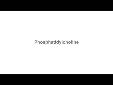 How to Pronounce "Phosphatidylcholine"