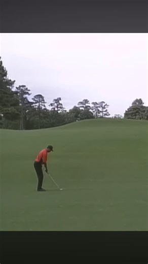 Get Golf Lessons on Instagram: "Tiger Woods"