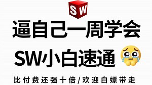 【全368集】强推！2025最细自学SW全套教程，看完就会！别再走弯路了，逼自己一个月学完，从0基础小白到机械建模大神只要这套就够了！