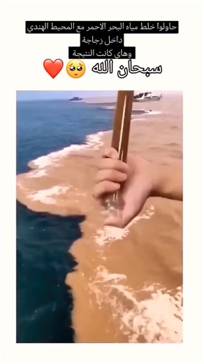 ‎سلام النفس‎ on Instagram‎: "أكبر ساعة في العالم ساعة (مكة) وتقع على قمة برج الساعة في مجمع أبراج البيت بمكة المكرمة. . يبلغ ارتفاعها حوالي 601 متراً، وتتميز بأربع واجهات كبيرة يمكن رؤيتها من مسافات بعيدة. تم تصميمها على الطراز الإسلامي وتضم العديد من الميزات الفريدة، بما في ذلك لفظ الجلالة “الله أكبر” وأكبر هلال تم صنعه حتى الآن. . معلومات إضافية عن ساعة مكة: الارتفاع والوزن يبلغ ارتفاع برج الساعة 601 متراً، ويصل وزن الساعة بالكامل إلى 36,000 طن، وفقاً لوكالة الأنباء السعودية. تحتوي الساعة على 