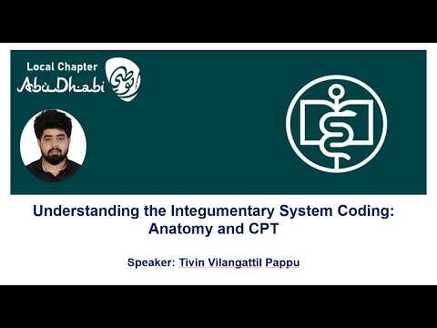 Understanding the Integumentary System Coding: Anatomy and CPT