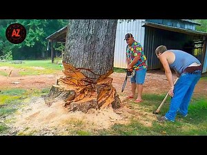 Idiots With Chainsaws: Tree Cutting Fails | Extreme Dangerous Logging Truck Fails #10