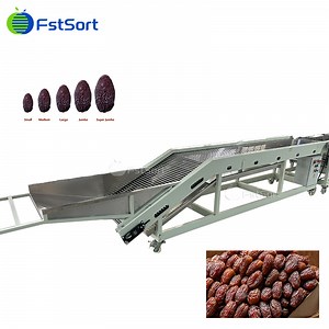 [Hot Item] Date Processing Machine Date Sorting Machine Medjool Dates Size Grader Machine