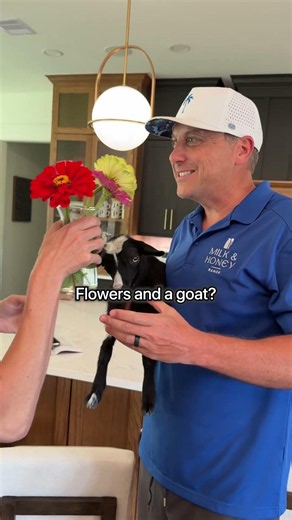 Surprising my wife with a baby goat and flowers in our home