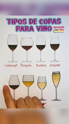 Tipos de copas para vino y sus usos ideales