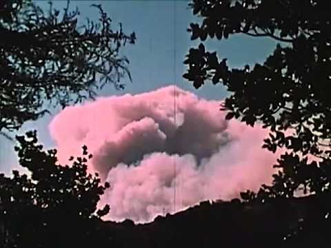 CA Wildfires: Design for Disaster (1962) Bel-Air, Brentwood, Santa Ynez Fires - CharlieDeanArchives