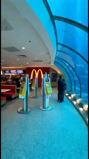 Locals near Table Rock Lake couldn’t believe their eyes after visiting what appears to be a fully operational McDonald’s built inside an underwater dome.Footage shows customers eating under glowing golden arches as fish swim past the glass walls — sunlight shimmering through the water above.Officials haven’t confirmed how the structure was built or when it opened, but one diner can be heard saying, “Only in Branson.”#Branson #TableRockLake #BreakingNews #UnderwaterMcDonalds #BransonAreaBreakingN