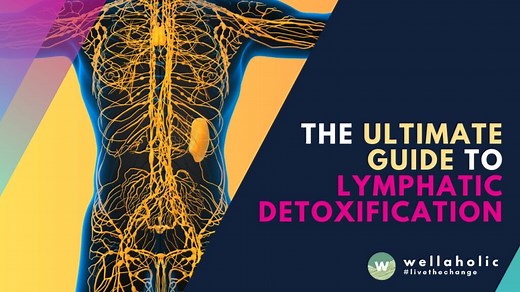 The Secret to Fat Melting: Why Your Lymphatic System is the