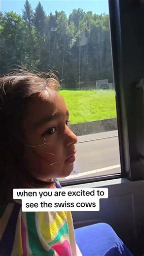 excited to see the swiss cows #switzerland #travel #swisscows #travel