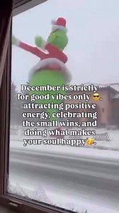 Just here for the vibes! 🎄 | Positive Vibes Quotes