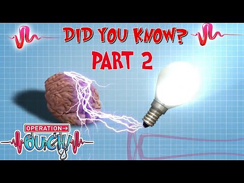 DID YOU KNOW? 🧠 | The Amazing Human Body - PART 2 | Science for Kids | @Operation Ouch