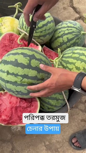 Unlock the Secret: How to Choose the PERFECT Ripe Watermelon Every Time! #shorts