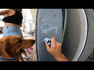 Tagging and Bombing Mission 31