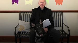 President Joe Biden is bringing back a presidential tradition by taking his dogs, Major and Champ, to the White House. | HuffPost
