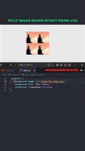 🔥 Split Image Hover Effect using CSS #coding #cssanimation #programming #htmlcss