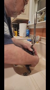 17K views · 673 reactions | Margo/Paisley gets a bath! #pug #pugs #pugpartyplusone #puppies #pugpuppies | Pug Party Plus One | Facebook