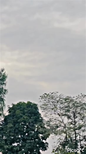 Understanding Home Breeding for Pet Enthusiasts