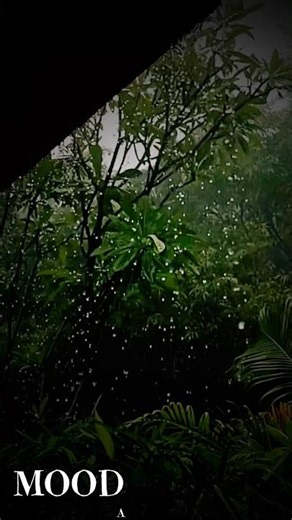 Rain Feeling | Peaceful Monsoon Rain Nature Sounds | 4K Rain Video
