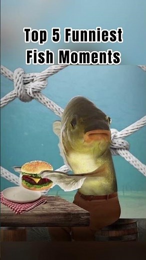 Ranking Top 5 Funniest Fish Moments #Top5 #fish