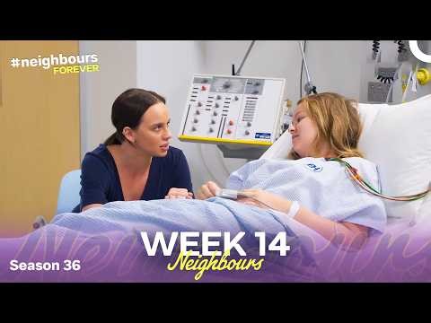 WEEK 14 | Episodes 8331-8335 | Neighbours 2020 (Season 36)