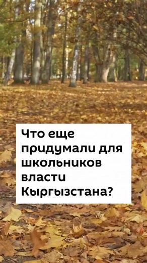 Учебный год в Кыргызстане с 15 сентября — что предложили власти