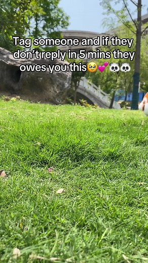 They are so cute. #plushies #stuffedanimals #animals #tiktokmademebuyit #plushtoys #viral #plushie #gift #foryou #plush #fyp #giftideas