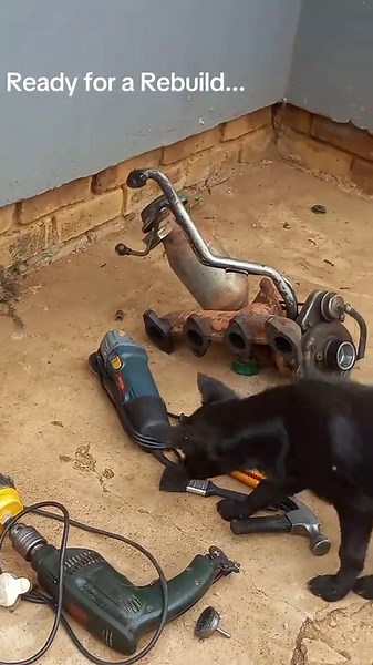 Toyota 2KD Engine Rebuild: Step-by-Step Guide