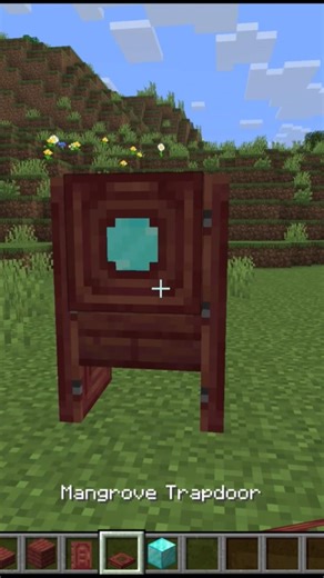 How to build among us imposter in minecraft