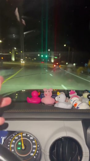 back seat drivers….