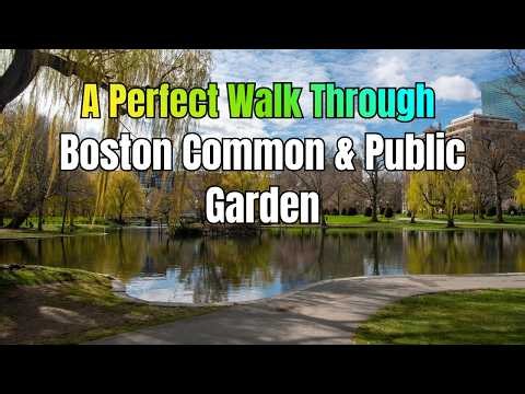 A Perfect Walk Through Boston Common and Public Garden