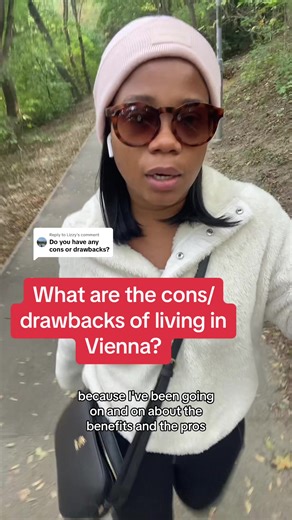 Understanding the Cons of Living in Austria