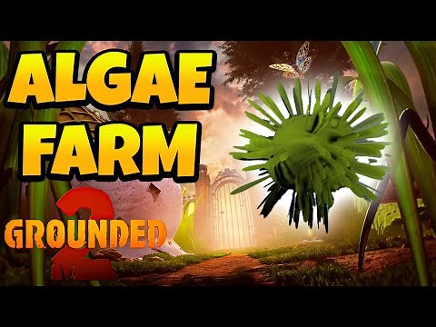 How to Get Algae & Secret Lab Location in Grounded 2 Update
