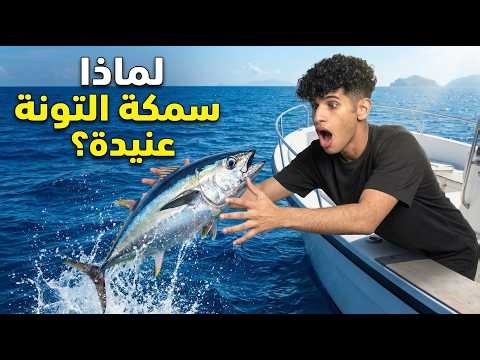 ثلاثة ملايين دولار مقابل سمكة؟! لازم تسمع جوابها…