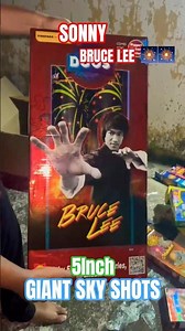 BRUCE LEE #testing #shots #crackers #fireworks #newyearcelebration #kidsvideo #kite #viral #foryou